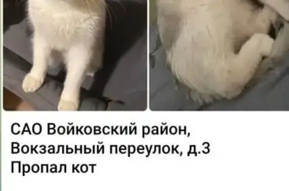 Пропала кошка, Вокзальный пер., 3, Москва