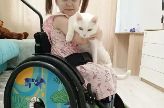 Пропала кошка