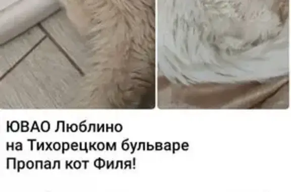 Пропала кошка, Тихорецкий бул., 6, Москва