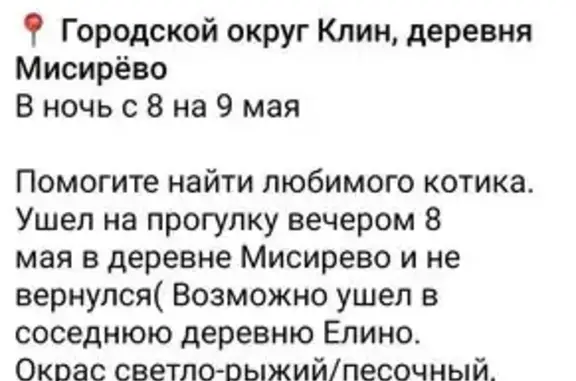 Пропал котик в Мисирево, МО