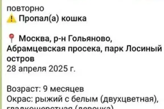 Пропала кошка, Лосиноостровская 45с9