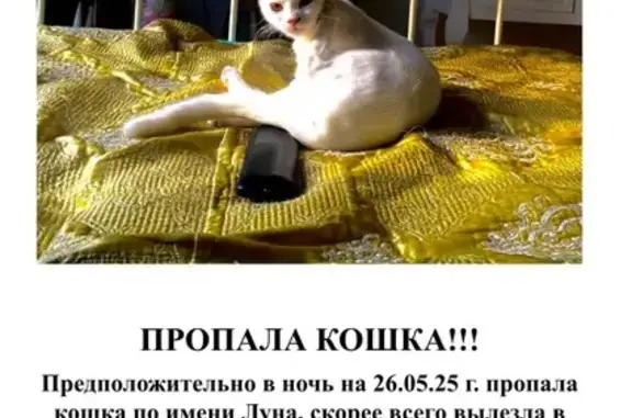Пропала белая кошка, Яна Райниса 47, Москва