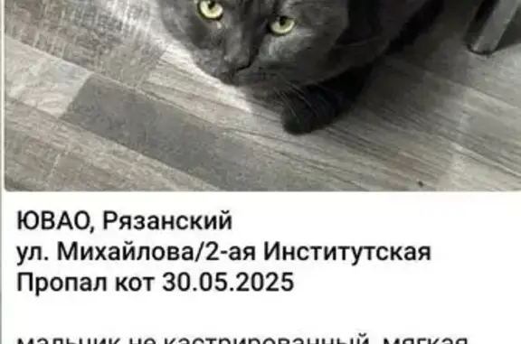 Пропал серый кот, ул. Михайлова 34, Москва