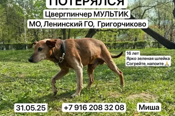 Пропала собака, Красная площадь, 3