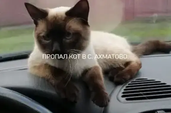 Пропала кошка, ул. Горького, Ахматово