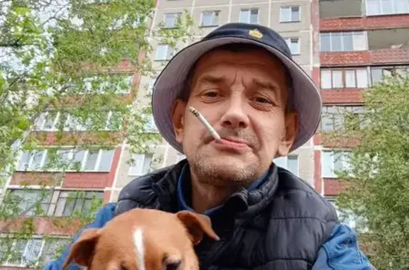 Пропала собака, Тбилисская 23, Пермь