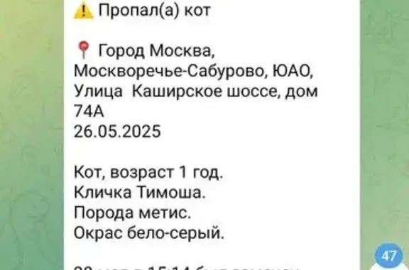 Пропала кошка, Каширское ш., 74А, Москва