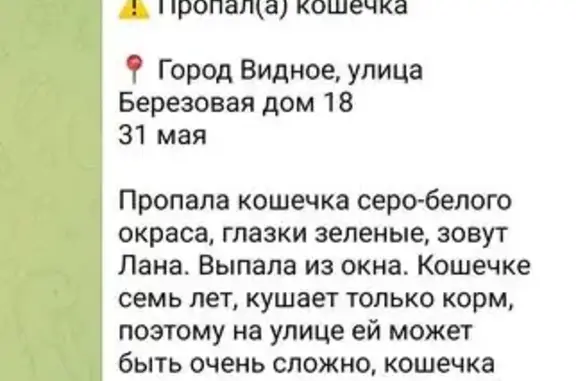 Пропала кошка на Берёзовой улице, Видное
