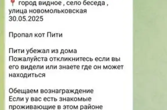 Пропал кот на Новомильковской, 14
