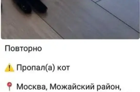 Пропала кошка, Гжатская ул., Москва