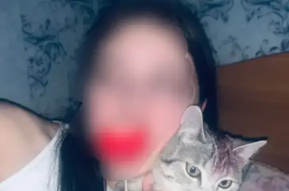 Пропала кошка, Онькова Виталия 24А