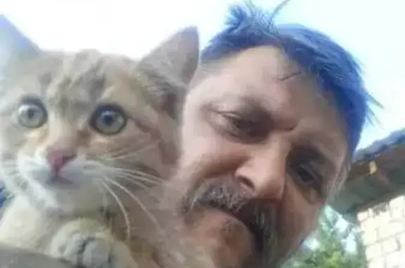 Кошка найдена у гаражей, Матросова 6А