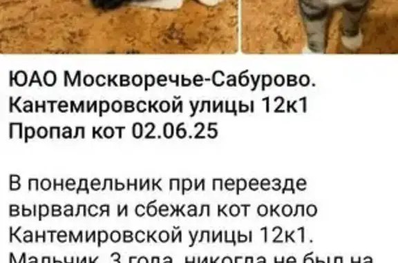 Пропал кот, Кантемировская ул, 12 к1