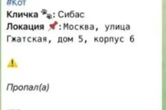 Пропала кошка, Гжатская ул., 5 к6, Москва