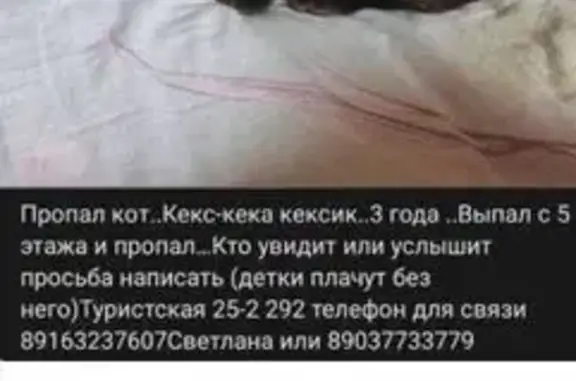 Пропала кошка, Туристская ул. 25 к2