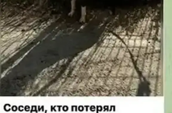 Стафф найден на жаре: Российская, 257, Краснодар