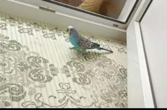 Пропал голубой попугай, Сельхозтехника