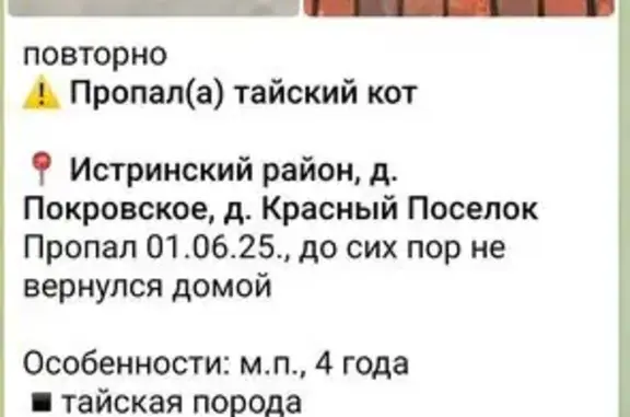 Пропала кошка, Заречная 48, Покровское