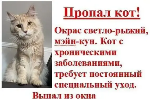 Пропала кошка, Саратовское шоссе 49