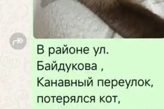 Пропала сиамская кошка, Байдукова 100, Обь