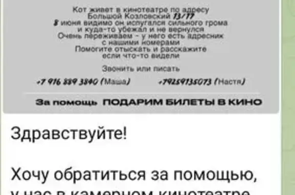 Пропала кошка, Большой Козловский, 10с1