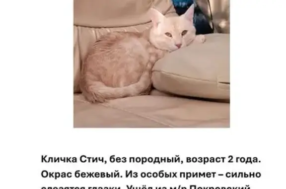 Пропала кошка, Красноярское СП, Саратовская обл.