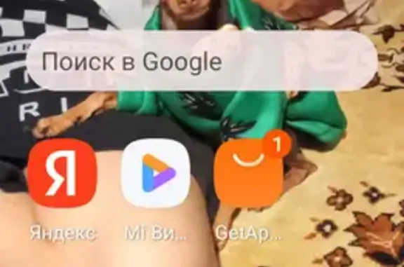Пропала собака, Майкоп, Выгонная 54