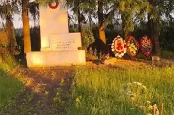 Найдена собака, Смоленская область, фото: Собака найдена у въезда в пгт Красный