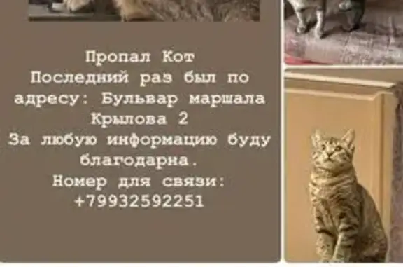 Пропал кот, б-р Крылова 2, Одинцово