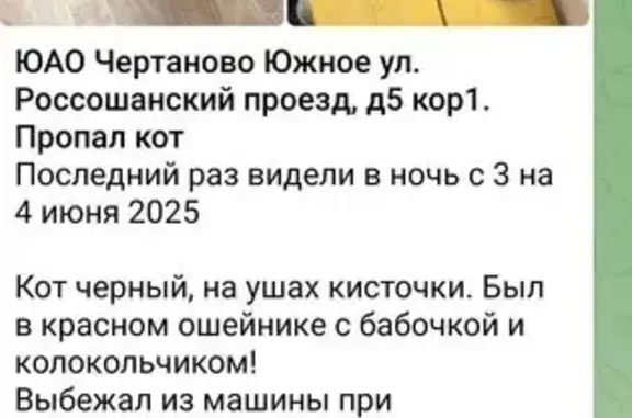 Пропал кот, Россошанский проезд, Москва