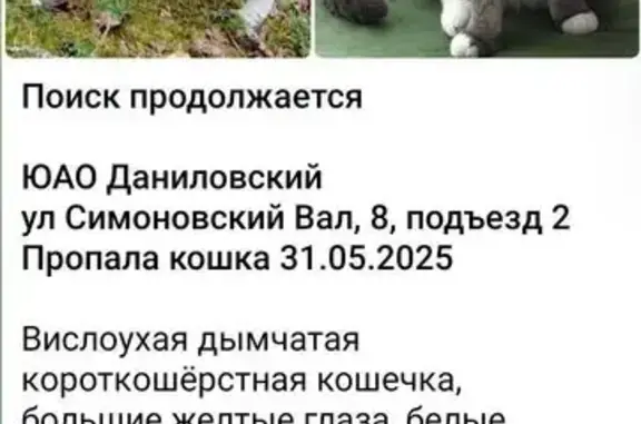 Пропала кошка, Симоновский Вал, 8