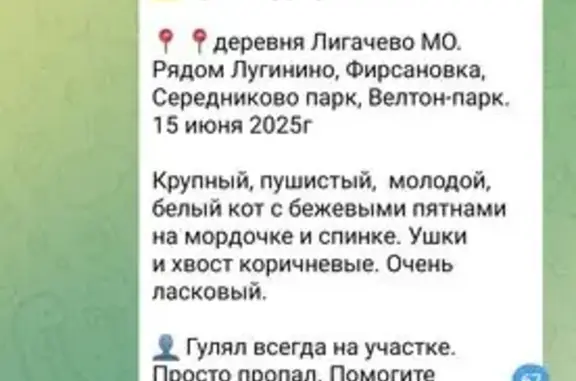 Пропала кошка, МО
