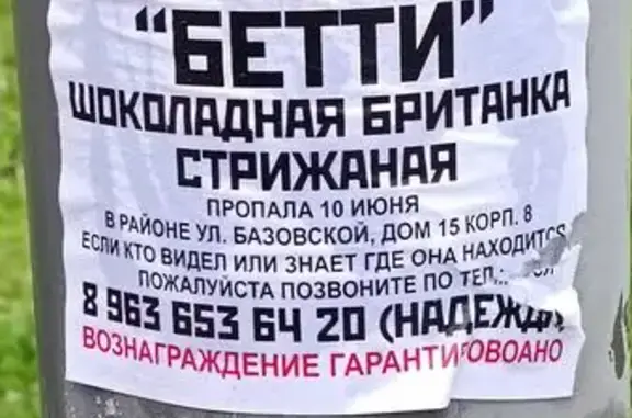 Пропала кошка, Базовская ул. 26А, Москва