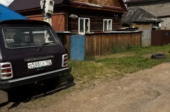 Найдена собака, Уфа, фото: Хаски на Дизельной, 149, Уфа ищет хозяина