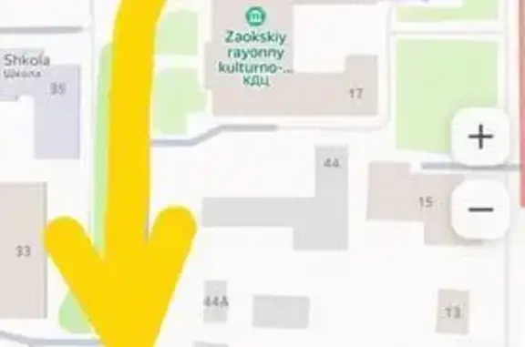 Найдена собака, Заокский, фото: Такса потерялась: ул. Поленова, 17, Заокский