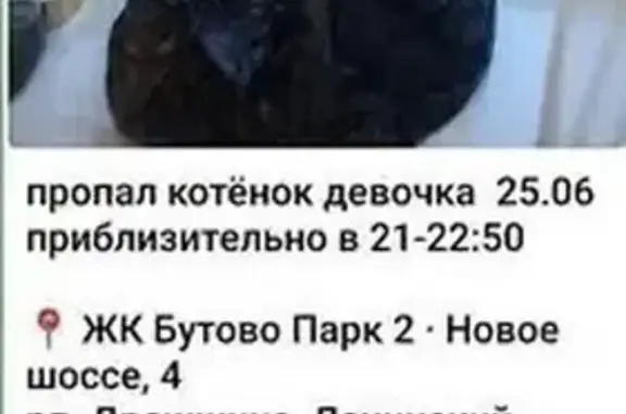 Пропала кошка, Новое шоссе, Дрожжино