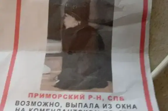 Кошка пропала, Долгоозёрная ул., СПб