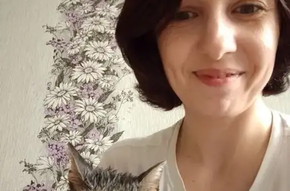 Пропал кот, ул. Титова 47, Балаково