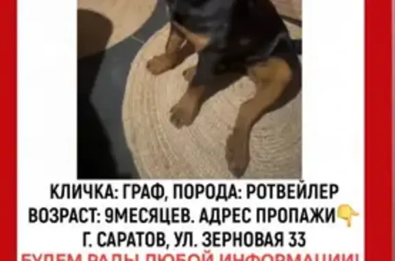 Пропал ротвейлер, 9-й Зерновой проезд, 6