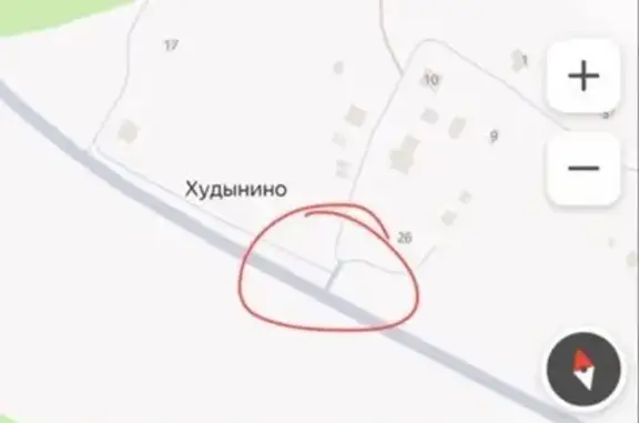 Алабая нашли у шлагбаума в Худынино