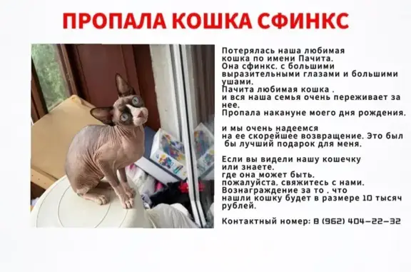 Пропала белая сфинкс, Дмитровское ш. 97 к1