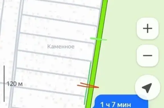 Пропала кошка в районе СНТ Южный, Каменное