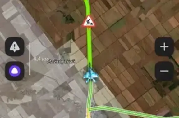 Найдена собака, Зимовники, фото: Собаки нуждаются в помощи, ул. Скибы 131