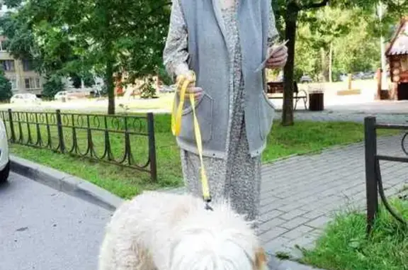 Пропала собака, Кировск