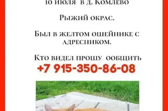 Пропала кошка, Центральная ул, 9, Комлево
