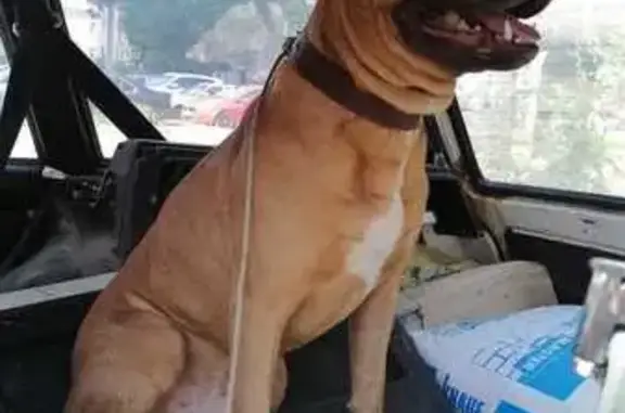 Стафф найден: Молодёжная ул, 6, Новосёлки