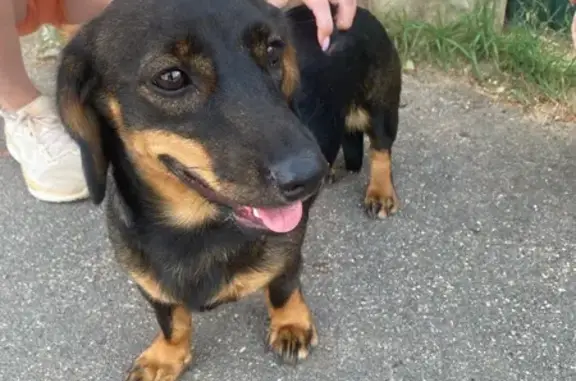 Такса найдена: Советская 28, Кострома