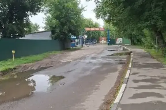 Найдена собака, Вокзальная ул. 19Б