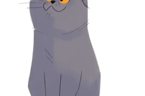 Кошка найдена мёртвой: Ростокинский проезд