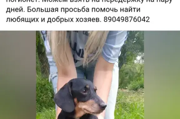 Такса найдена: пр. Ленина, Екатеринбург